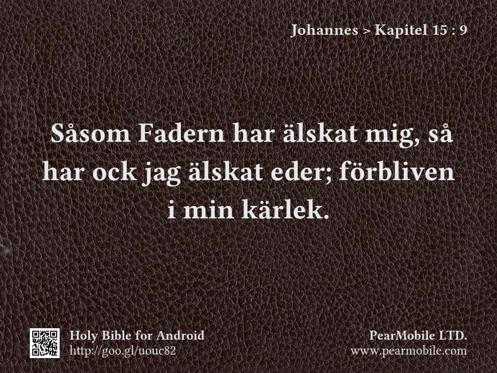 Johannes, Kapitel 15:9